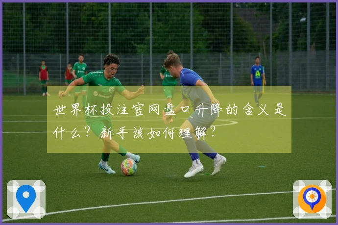 世界杯投注官网盘口升降的含义是什么？新手该如何理解？