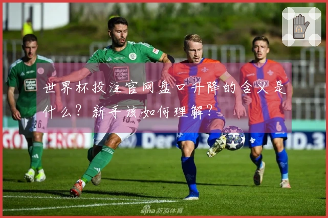 世界杯投注官网盘口升降的含义是什么？新手该如何理解？